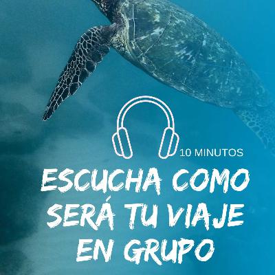 138. Viaje solidario con tortugas en Grupo a Costa Rica