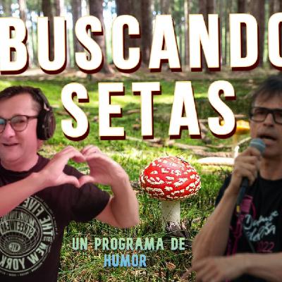 Buscando Setas 26 5T Buscando Setas 26 5T