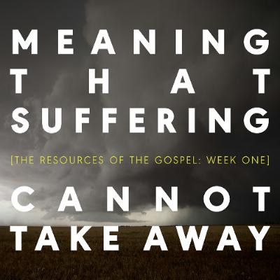 Meaning That Suffering Cannot Take Away