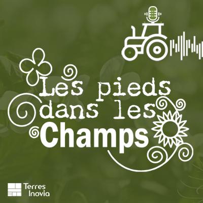 Les pieds dans les champs, la série qui donne la parole aux agriculteurs