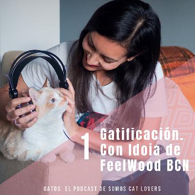 Episodio 1. Hablando de Gatificación con Idoia de FeelWood BCN