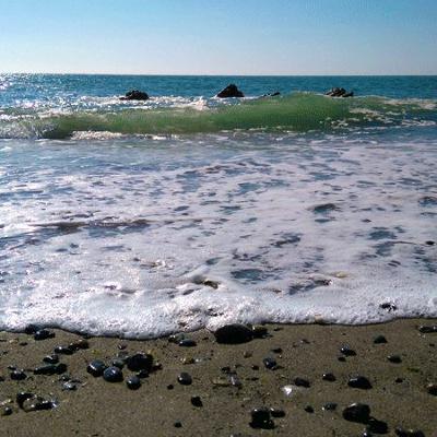Making Waves | How to Make an Ocean Literate Society