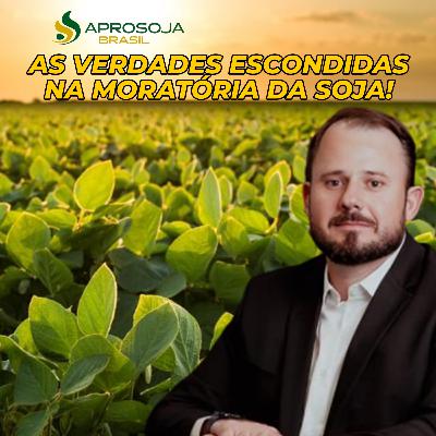 AS VERDADE ESCONDIDAS NA MORATÓRIA DA SOJA! AS VERDADE ESCONDIDAS NA MORATÓRIA DA SOJA!