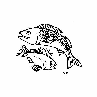 〔7-6〕夜釣りしながらポッドキャスト。11時間のスズキ釣り-前編〔KANNNOME〕 〔7-6〕夜釣りしながらポッドキャスト。11時間のスズキ釣り-前編〔KANNNOME〕