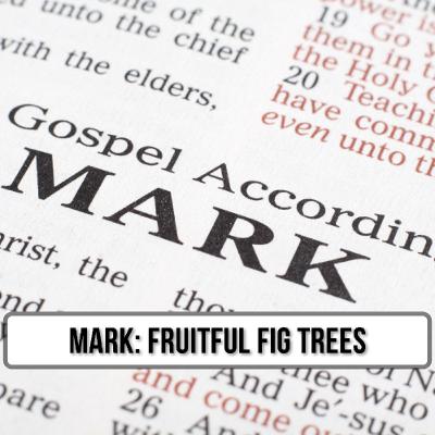 02/23/25 - Jeff Olver: Fruitful Fig Trees 02/23/25 - Jeff Olver: Fruitful Fig Trees