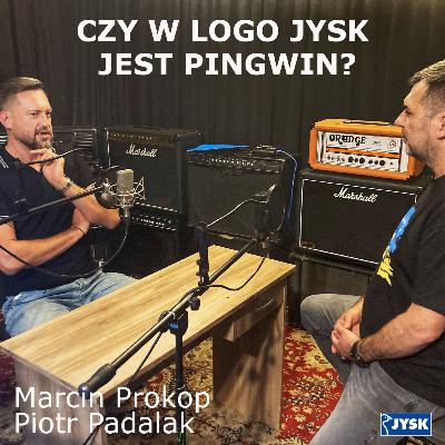 Czy w logo JYSK jest pingwin?