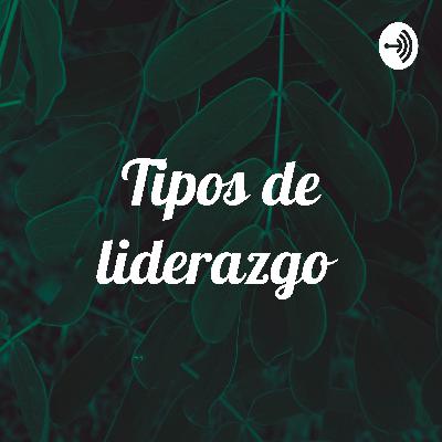 Tipos de liderazgo