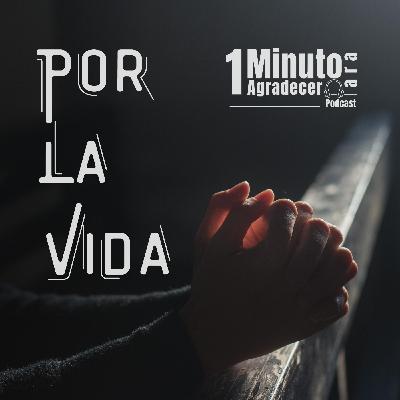 Un minuto Para Agradecer Por la Vida