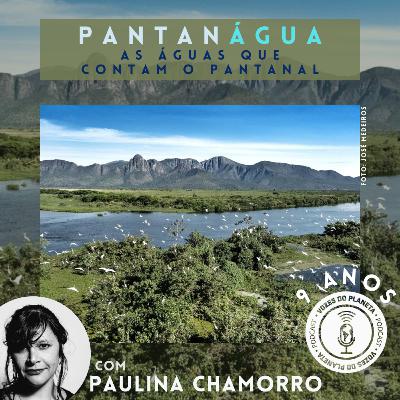 272 - PantanÁgua: As águas que contam o Pantanal