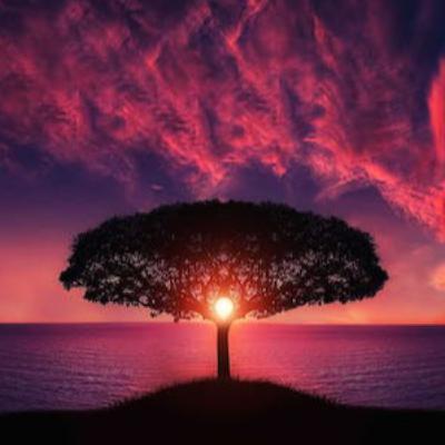 سپاسگزاری از خداوند