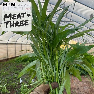 Fight for Your Greens: Cultural Preservation, Environmental Regulation & Water Spinach