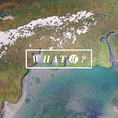 What If - Week 4