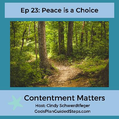 Peace is a Choice with Options