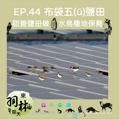 來羽林聊天 EP.44 布袋五(ū)鹽田/在光電開發下保存野鳥棲地/高雄鳥會如何成為NGO界「領地」冠軍？ ft. 洪貫捷 高雄鳥會理事