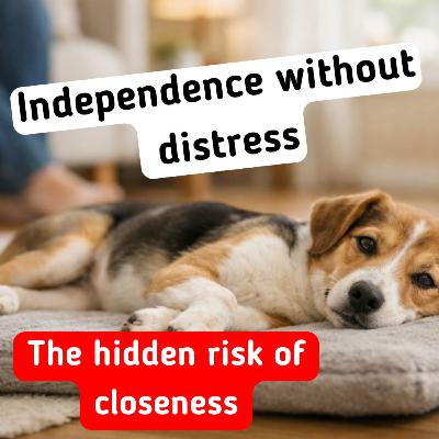Episode #3.2 - Why Independence Starts Earlier Than You Think: Preventing Separation Anxiety in Dogs