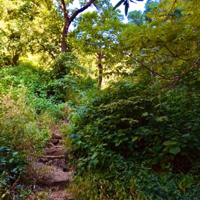 Improving Mental Health