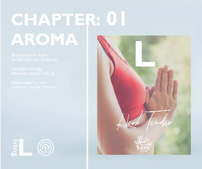 女性永远的功课-排毒减肥 女性永远的功课-排毒减肥