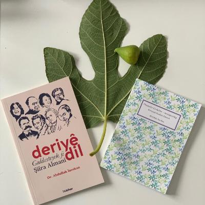 Şeva helbesta Kurdî-Almanî / Kurdisch-Deutscher Lyrikabend