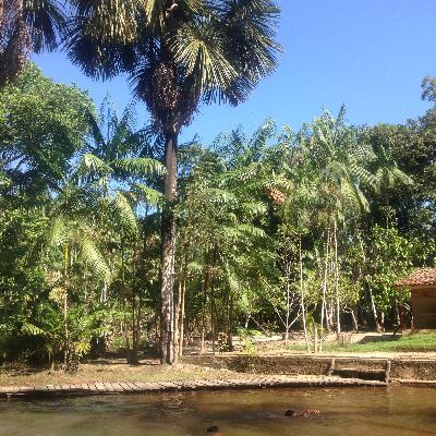 Políticas Públicas: Conceitos e Análise em Revisão - PPGEA/UFPA.