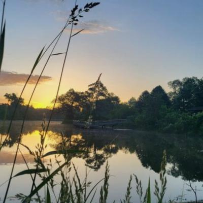 What If Your Legacy Started Today?