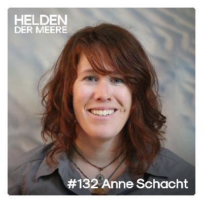 Die Nationalpark-Rangerin von Sylt - Anne Schacht