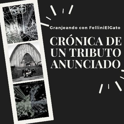 08. Crónica de un tributo anunciado