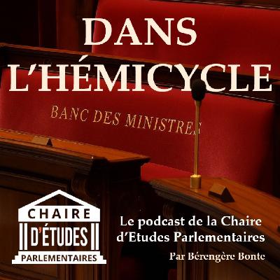 Ep.8 Christophe Bourseiller et Guy Prunier - Etiquetage politique : comment se fabrique le nuancier ?
