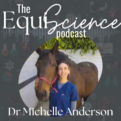 #13 - Equine Physical Therapy: Building Strength, Stability, & Suppleness w/ Dr Michelle Anderson