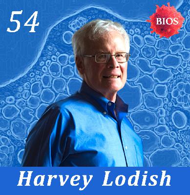 54. Foundations of Biotech w/ Harvey Lodish - Professor @ MIT / Founding Member @ Whitehead Institute