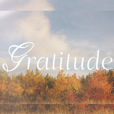 Gratitude | Part III Gratitude | Part III