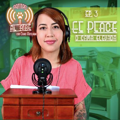 E.3 - "La Cama de Place": Ejercicios de meditación canina. E.3 - "La Cama de Place": Ejercicios de meditación canina.