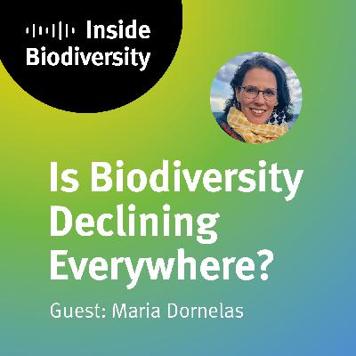 Is Biodiversity Declining Everywhere?