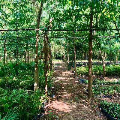 21 Lessons for the 21st Century that changed my life