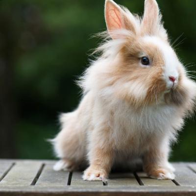 Habt ihr Ideen 💡?