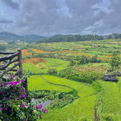 Vol.81 精神云南人的诞生