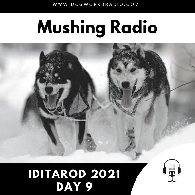 Iditarod 2021 Daily Coverage | Day 9