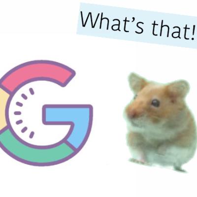 What dose Google have to say about hamster care? What dose Google have to say about hamster care?