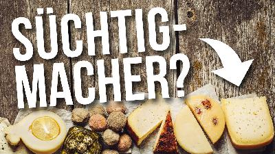Macht Käse süchtig?