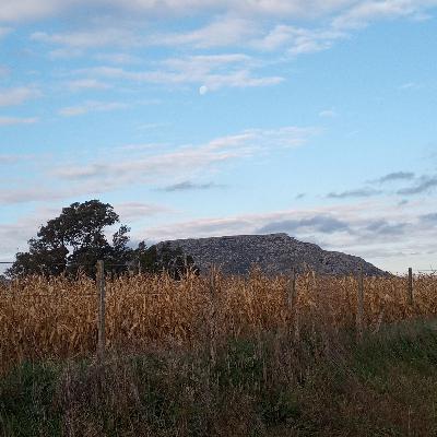 Hablemos de Literatura