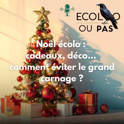 Noël écolo : idées cadeaux, déco responsable, impact des fêtes et alternatives durables