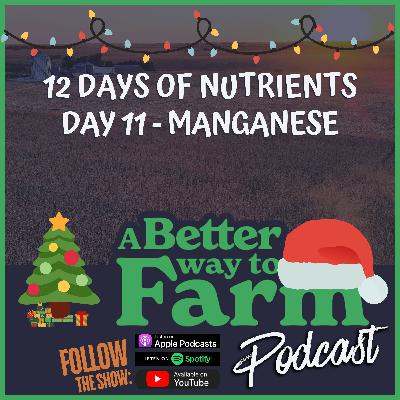12 Days of Nutrients - Day 11: Manganese