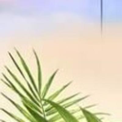 🦋LA CONTAMINACIÓN DEL AIRE 🦋