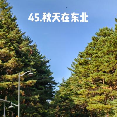 45.秋日特辑之东北溜达实录 45.秋日特辑之东北溜达实录