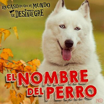 S27 Ep6237: El Nombre del Perro