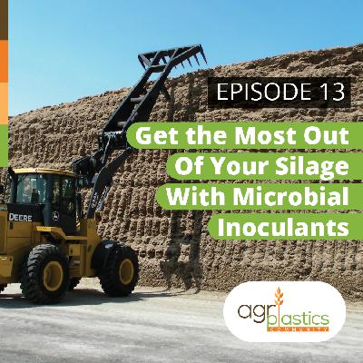 Get the most out of your silage with Microbial Inoculants