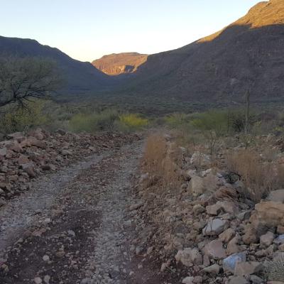 A PIE DE CORRAL, VIVA VOZ DEL PRODUCTOR CAPRINO