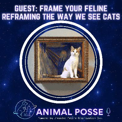 Reframing the Way We See Cats with Frame Your Feline