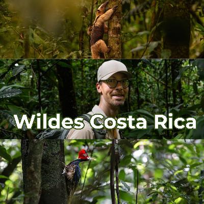 Wildes Costa Rica – ehrlich & intensiv mit Frank Wesneck [OTP327]