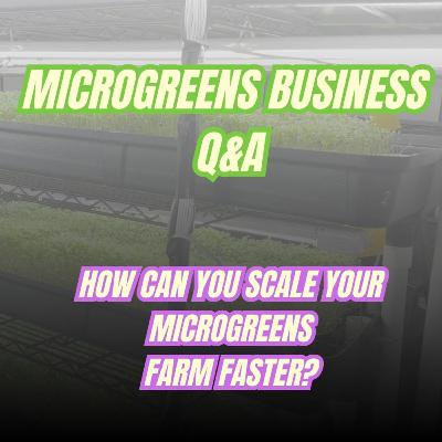 The Microgreens Growth Formula – Scale Smarter, Not Harder