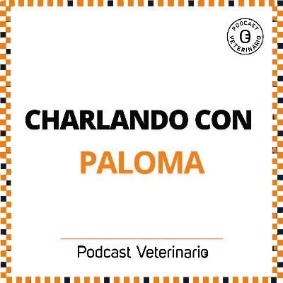 Charlando con Paloma